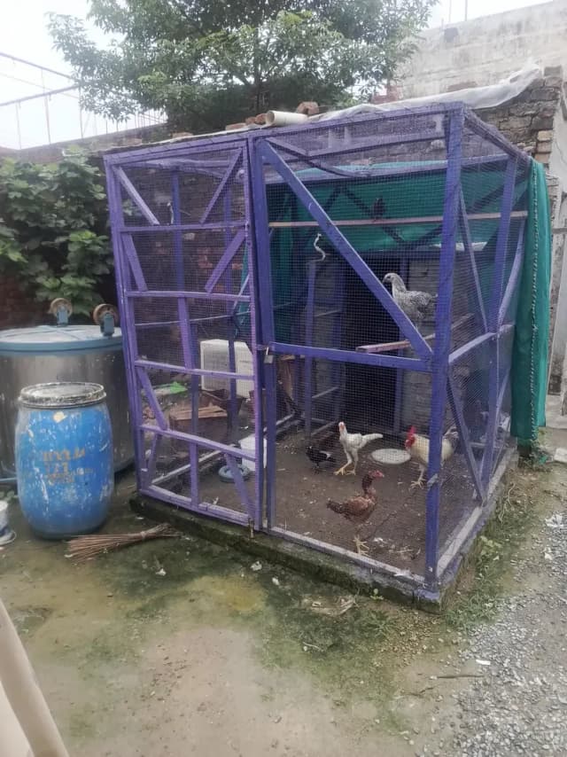 wooden cage