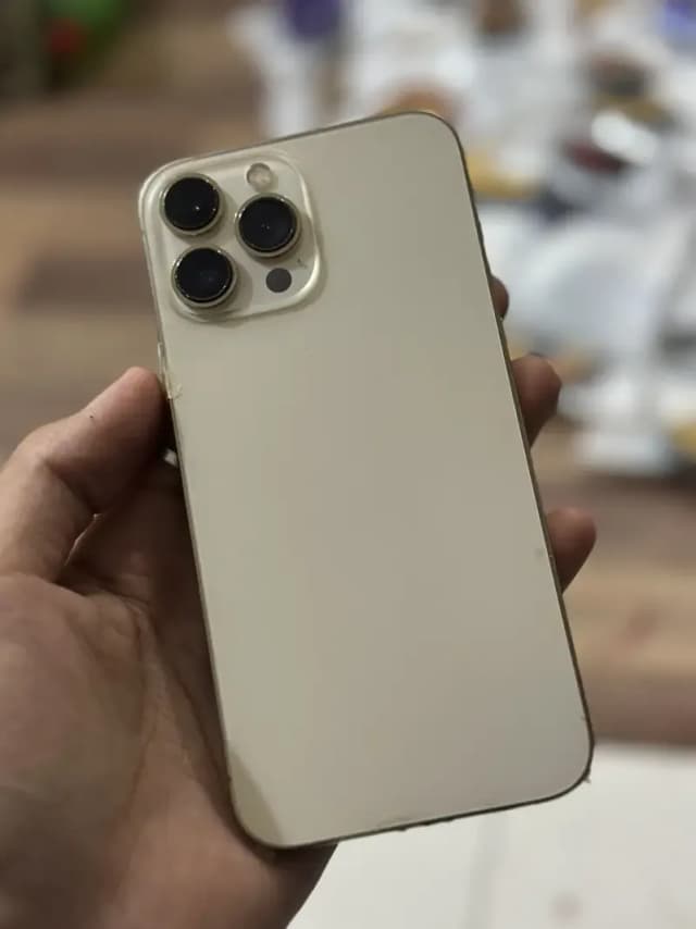 Apple iPhone 13 Pro Max