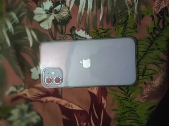 Apple iPhone 11 Pro