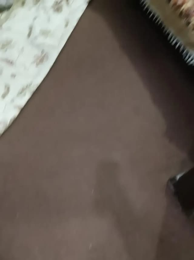 carpet 10*10 two room