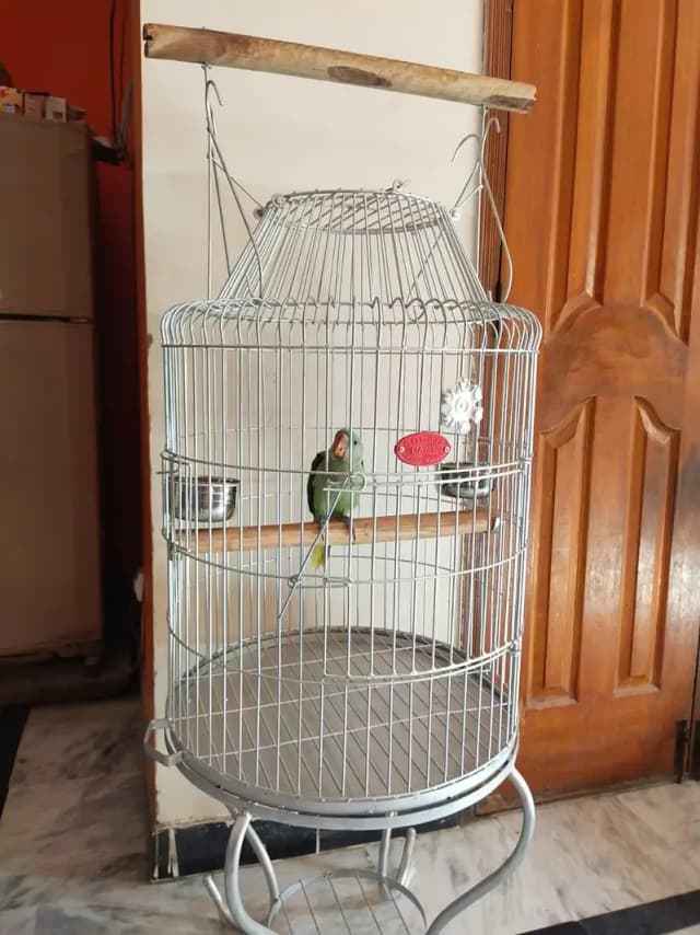 Cage urgent sell