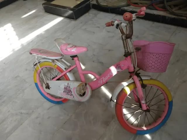 Bicycle for Kids