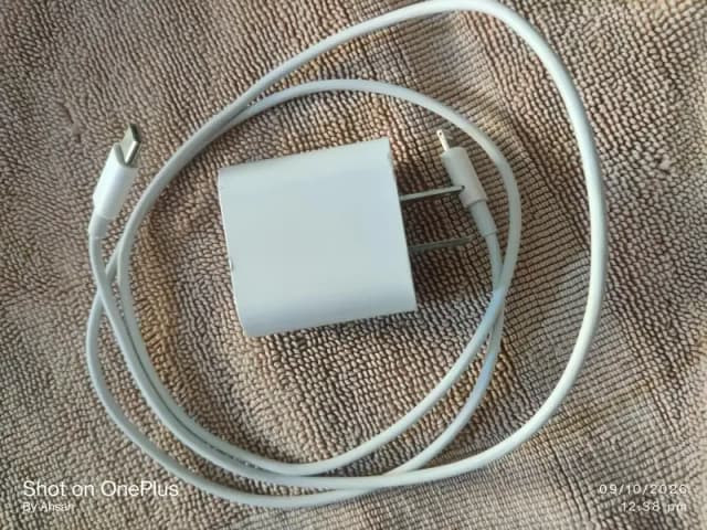 Apple 20W Fast Adapter+type C-lightinng Cable