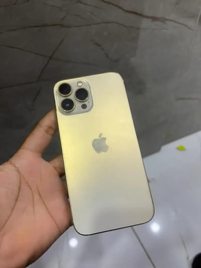 Apple iPhone 13 Pro Max