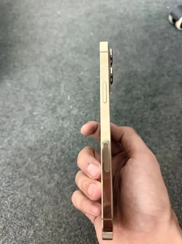 Apple iPhone 13 Pro Max