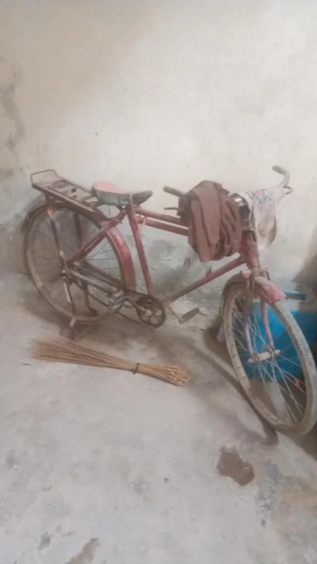 bicycle