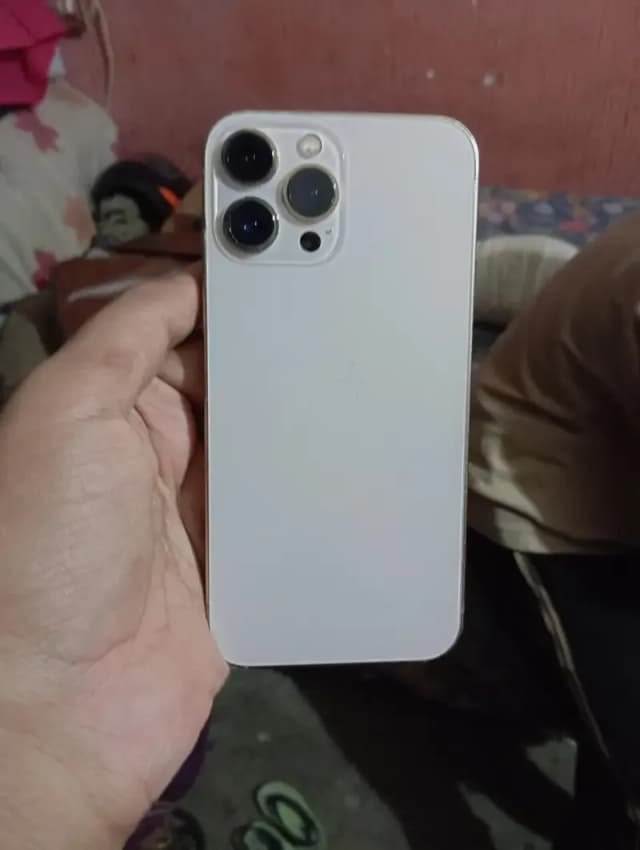 Apple iPhone 13 Pro Max
