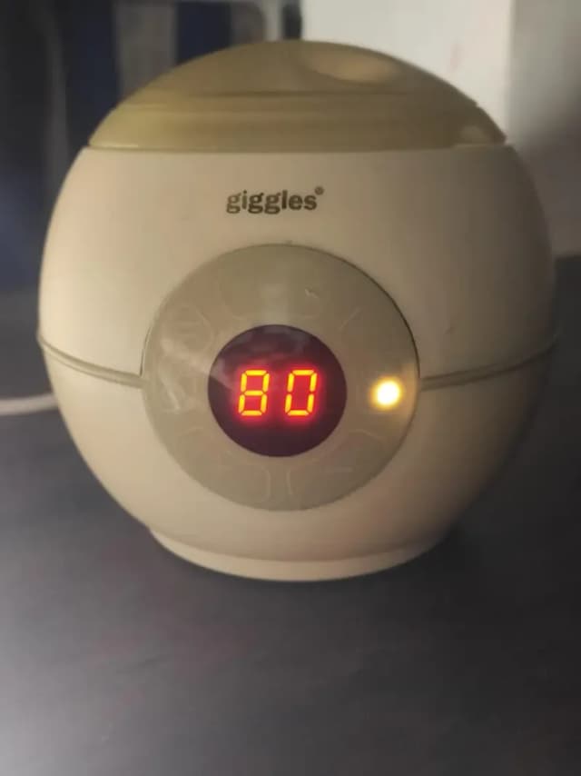 Feeder/food warmer