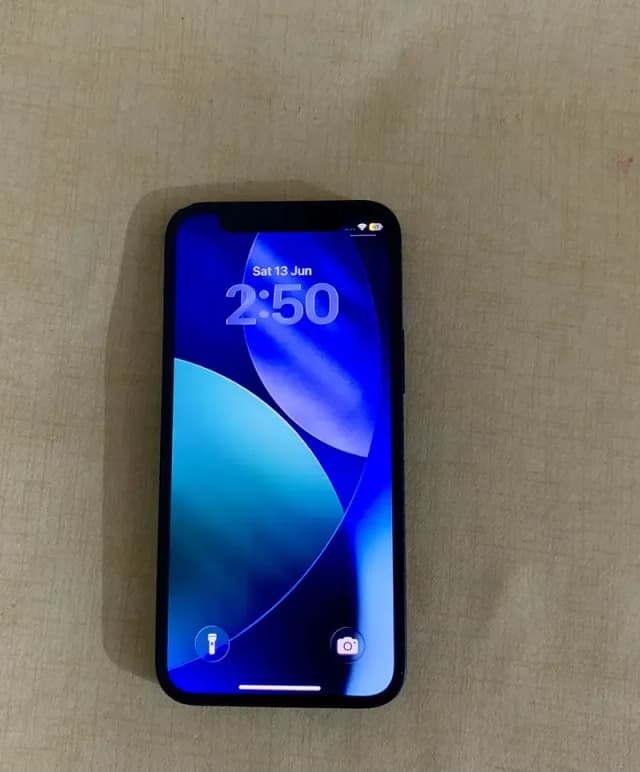 Apple iPhone 12 mini