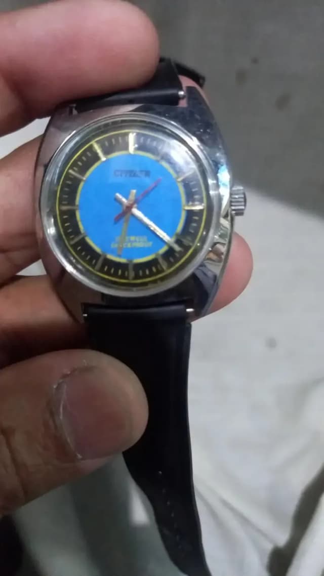CAMY AND CITILZEN Mechanial Watch