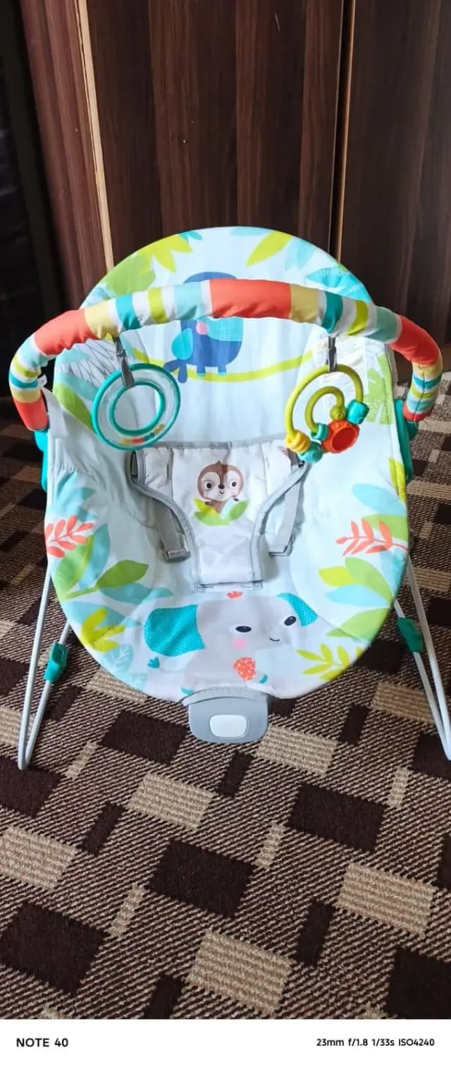 baby bouncer