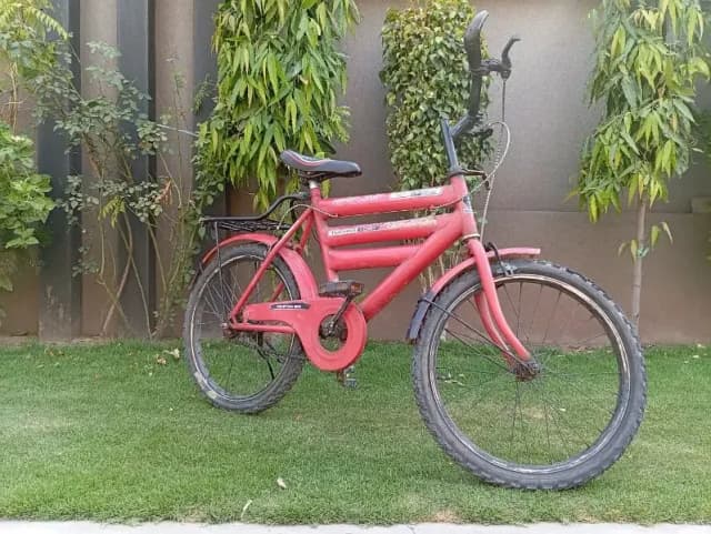 20" Kids Bicycle