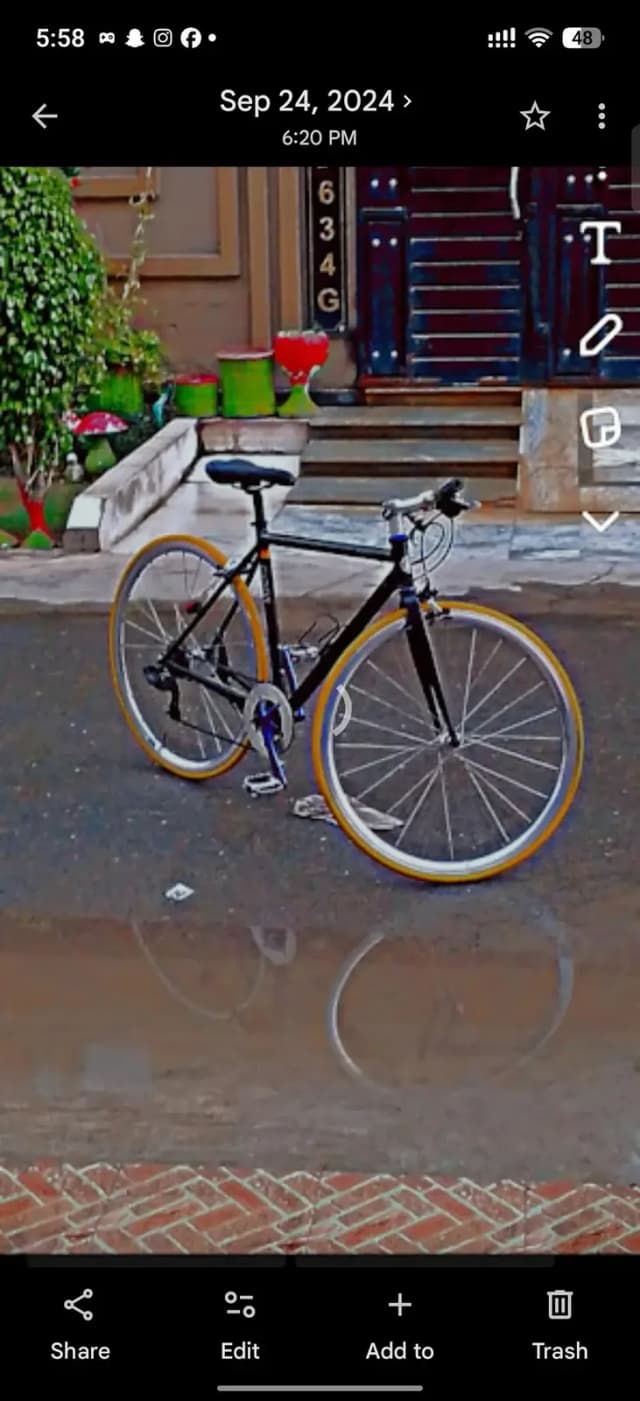 racing cycle imported from japan