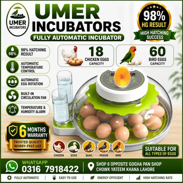 18/60 8/30 Eggs Automatic Incubator Dual Power With 6 Months Warranty