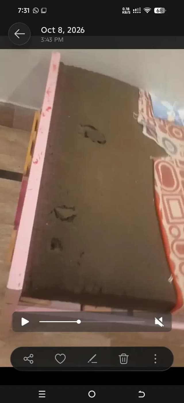 only kid bed sell