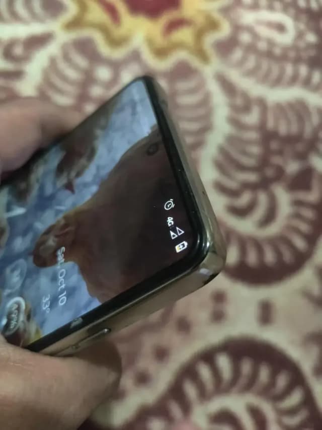 Motorola Moto G Stylus 2024