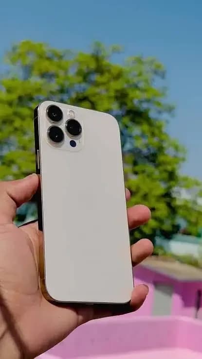 Apple iPhone 13 Pro Max jv