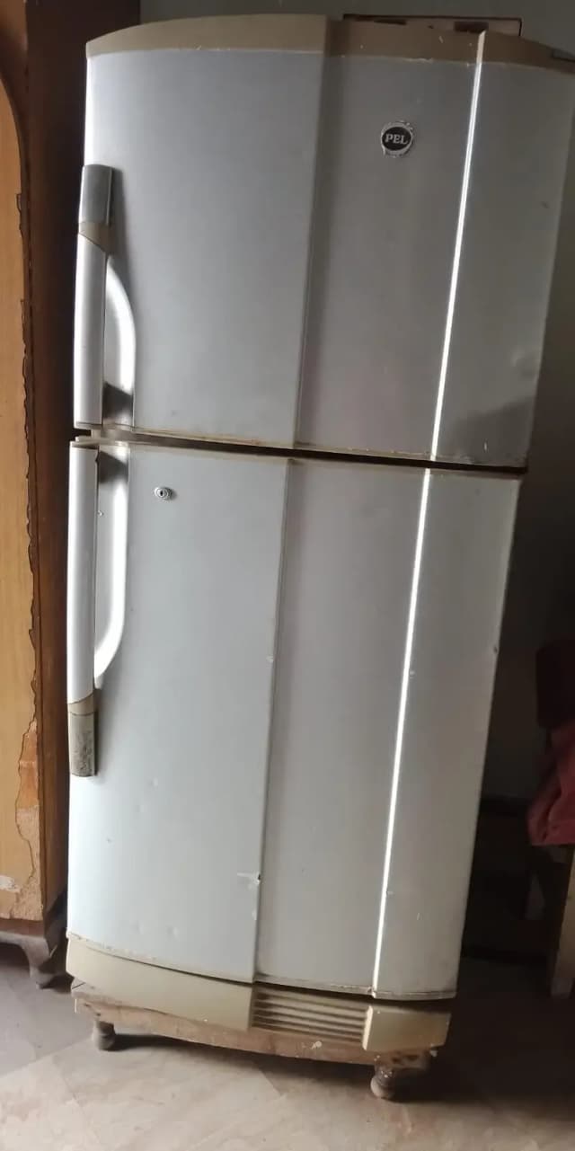 Orignal pal