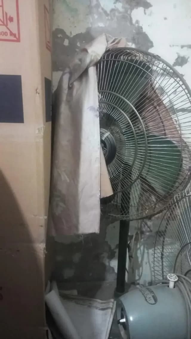 stand fan