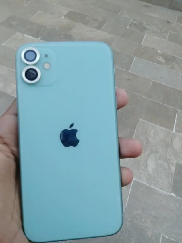 Apple iPhone 11 Water pak