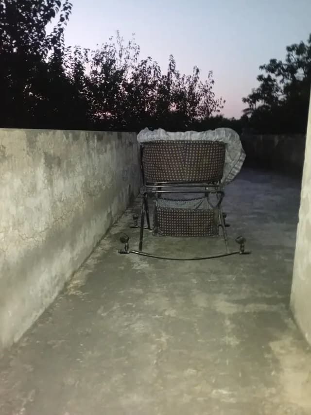 kids cart