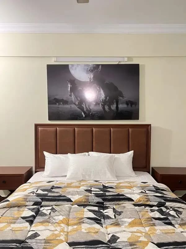 1,2,3 Bed Apartment For Rent Daily Basis Per Day Flats and Rooms Guest House In Islamabad E11,F11,F10,D12 All Islamabad