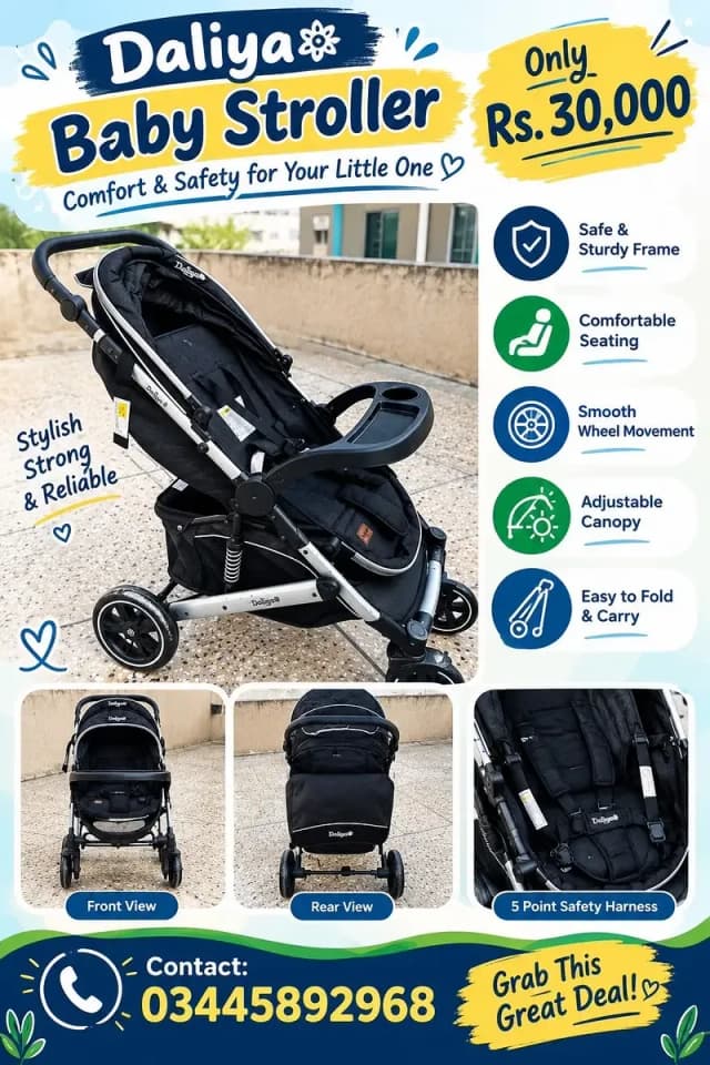 Baby push chair