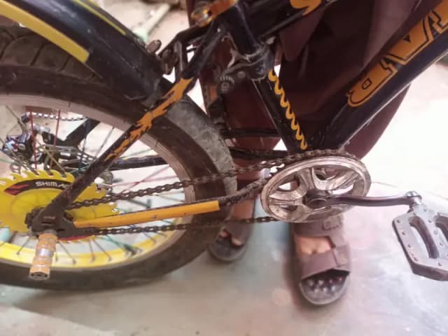 good cyecal