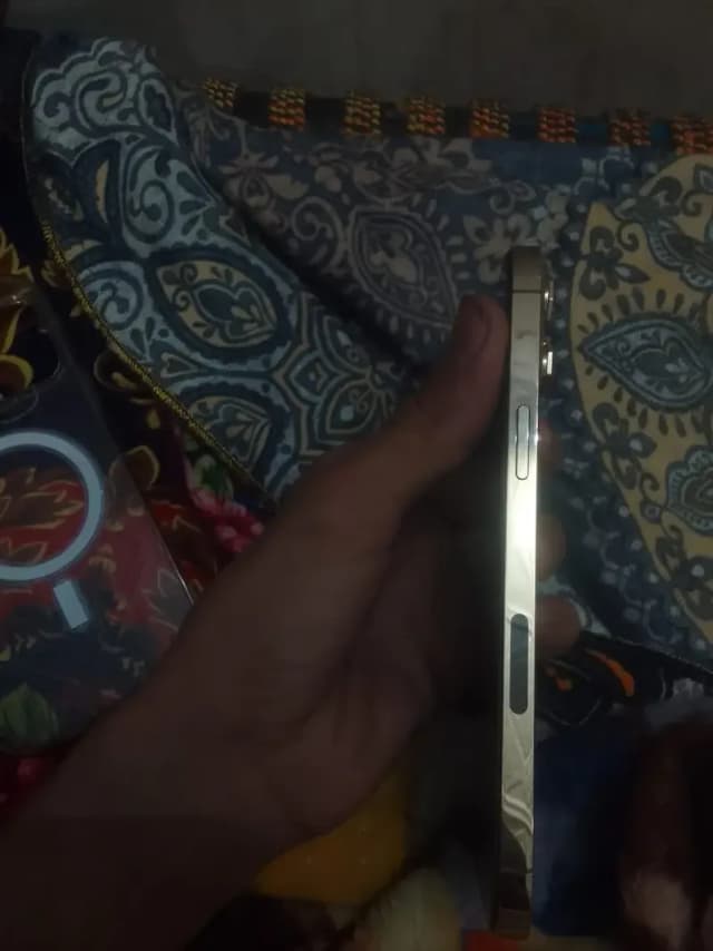 Apple iPhone 12 Pro Max