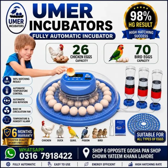 52/26/18/8 Eggs Automatic Incubator Dual Power With 6 Months Warranty