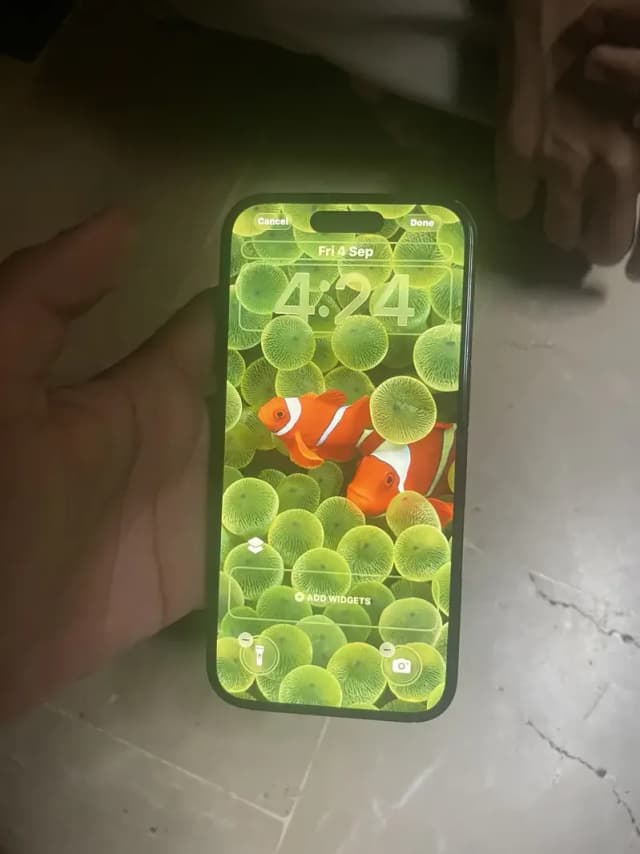 Apple iPhone 16