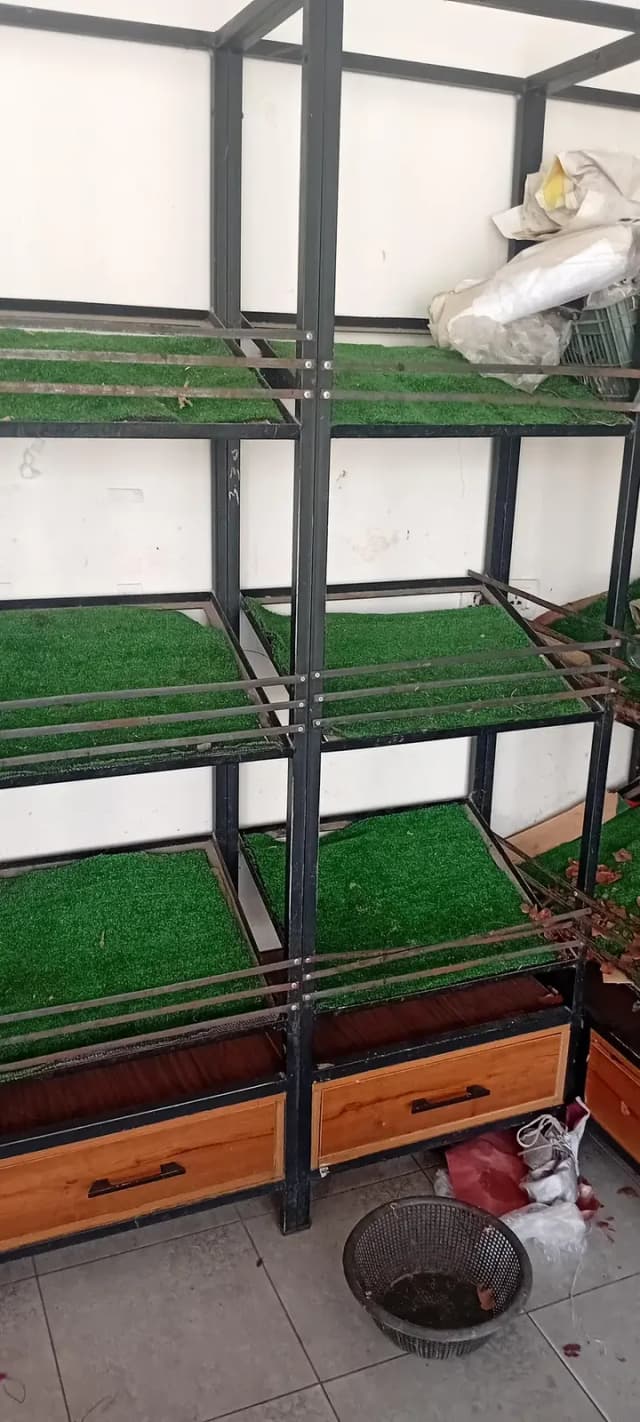 racks  counter