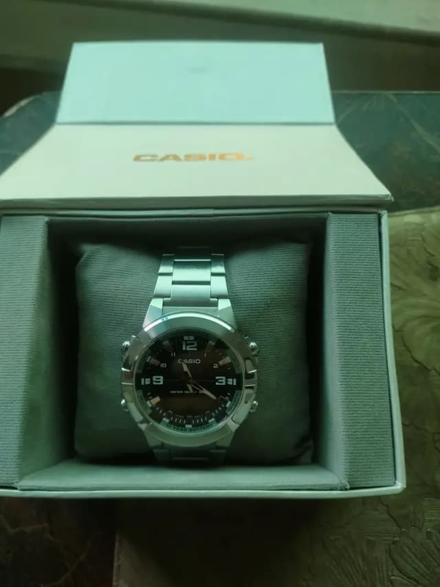 Casio AMD 870 analog/digital