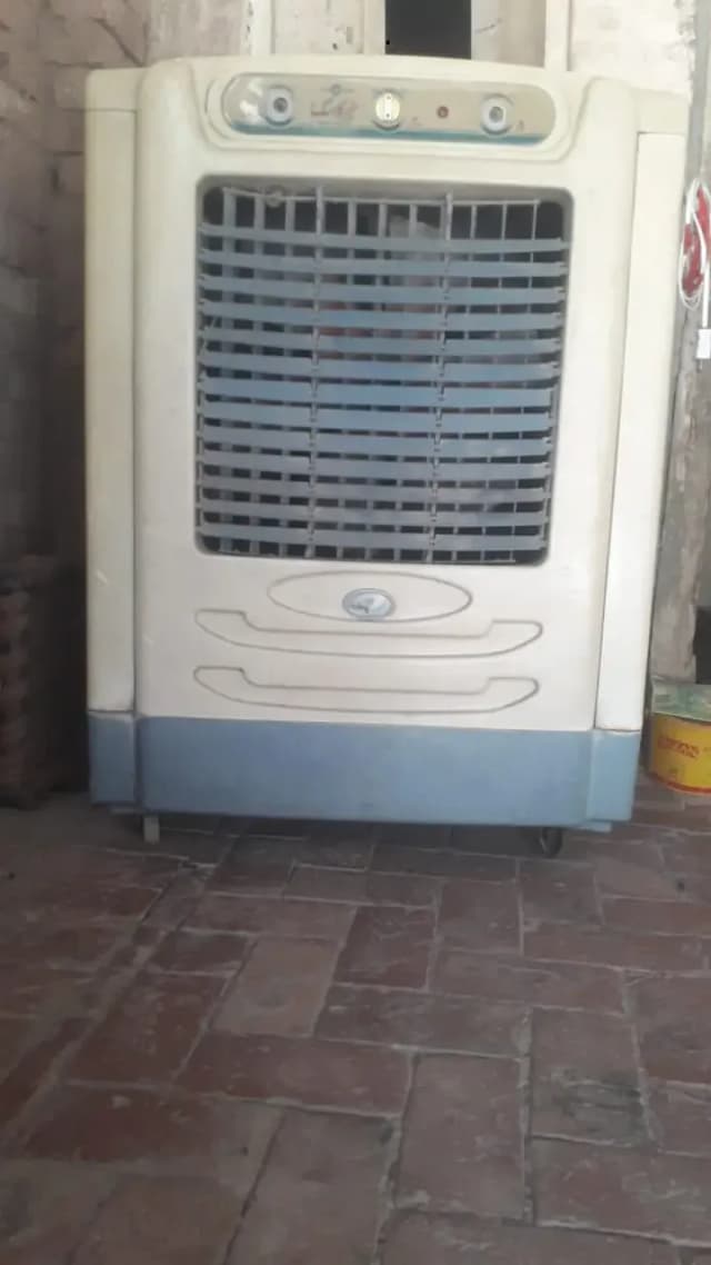 plastic body me he