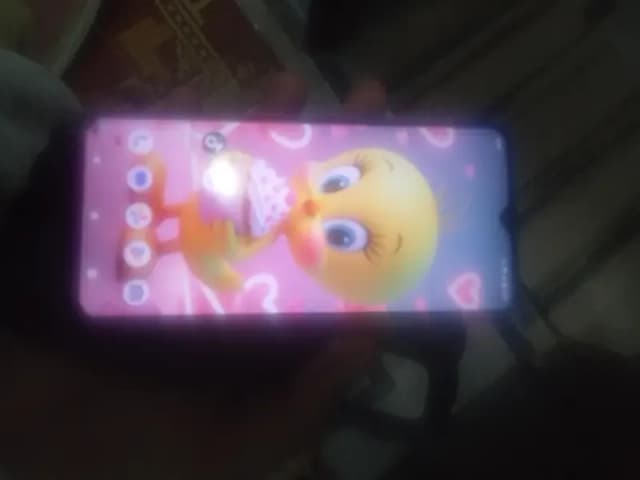Vivo Y12