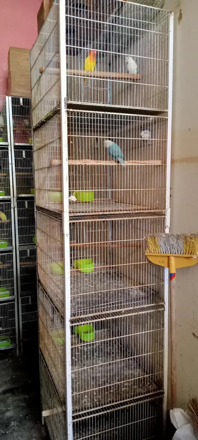 completely sytap sell
