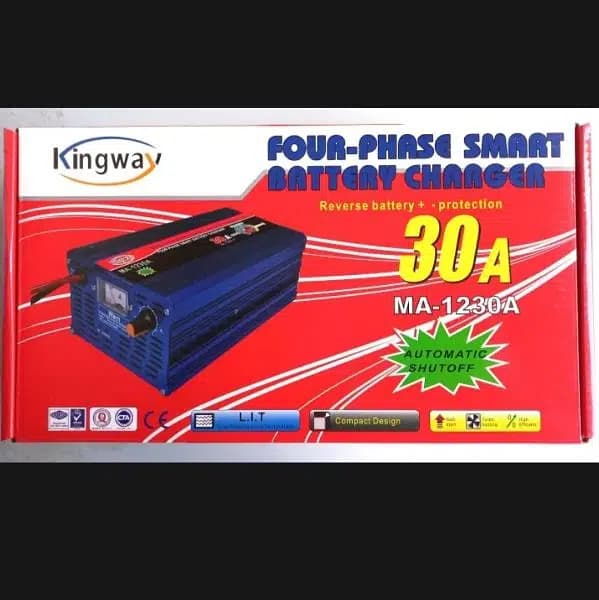 12V  24v 60A Automatic Pulse Repair Charger For All Batterys – EZEE20A