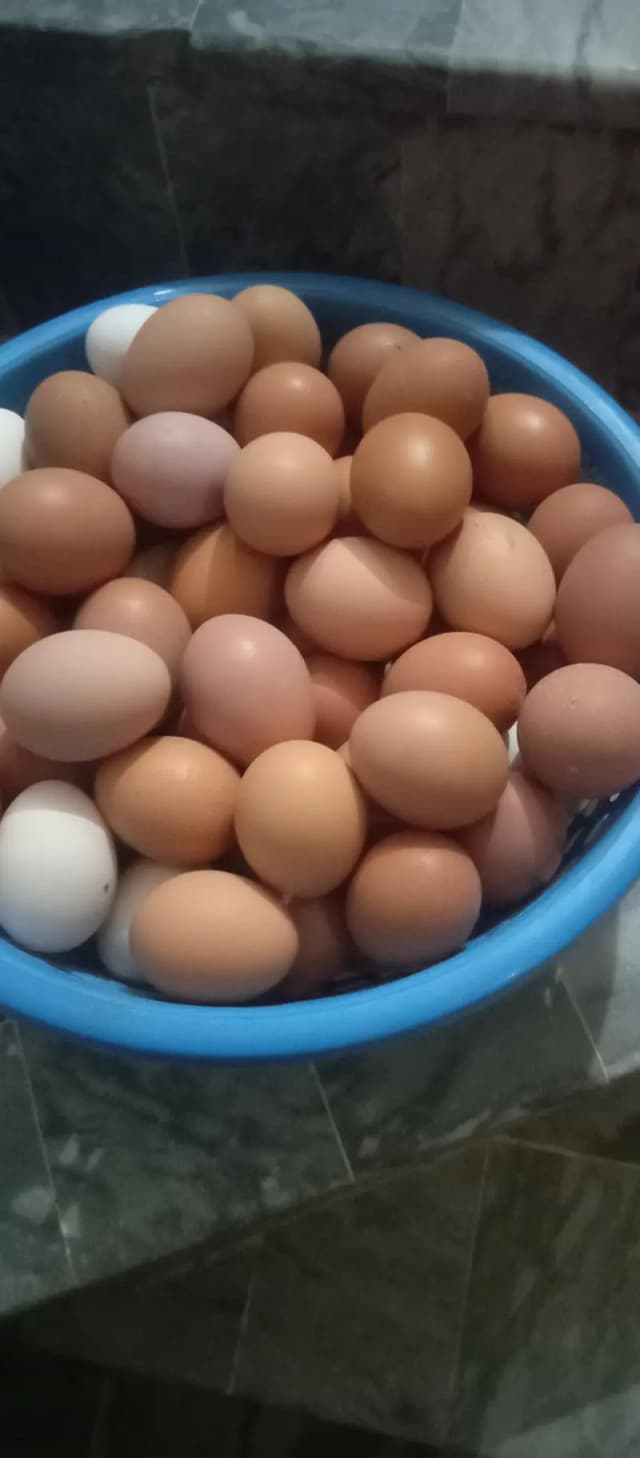 HOME BASED DESI EGGS