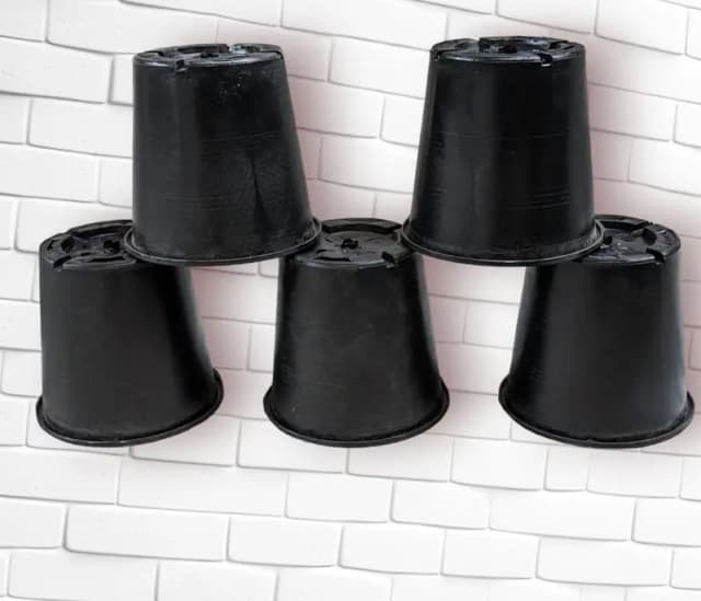 6-Inch Plastic Pots - Available in Packs of 2, 4, 6, 8, and 10