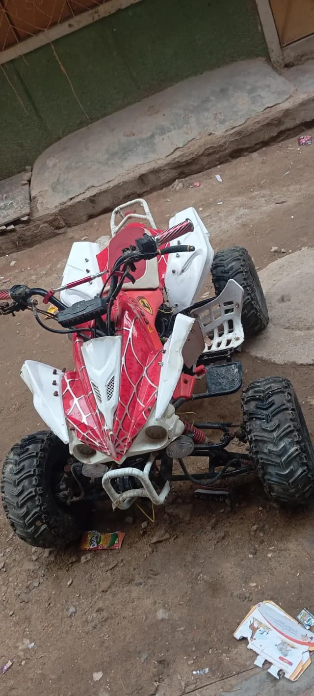 ATV bike  Reptor sulf start