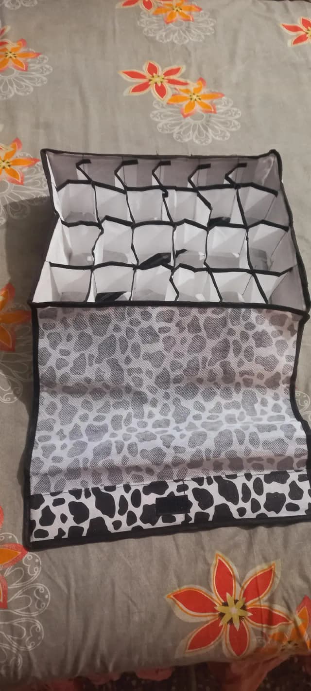 24 grids Storage Organizer