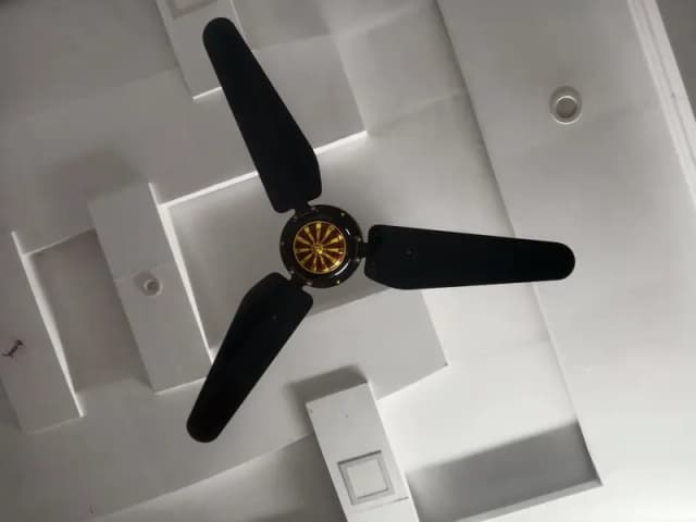ceiling fan