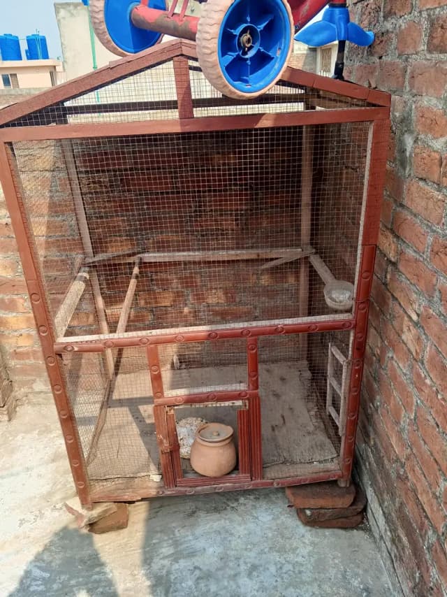 pinjra for sale
