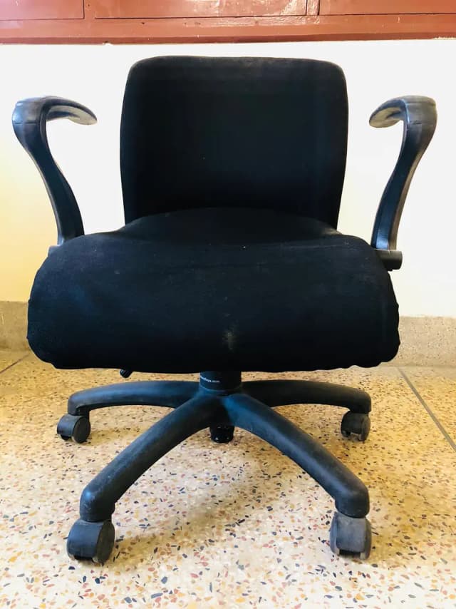 Master Offisys Chair Anatom Low Back