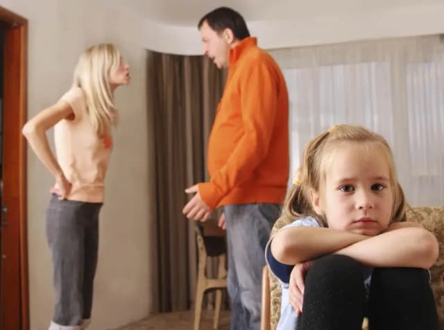 Rs. 6000/Divorce Papers khulla Gardian female family lawyer separation