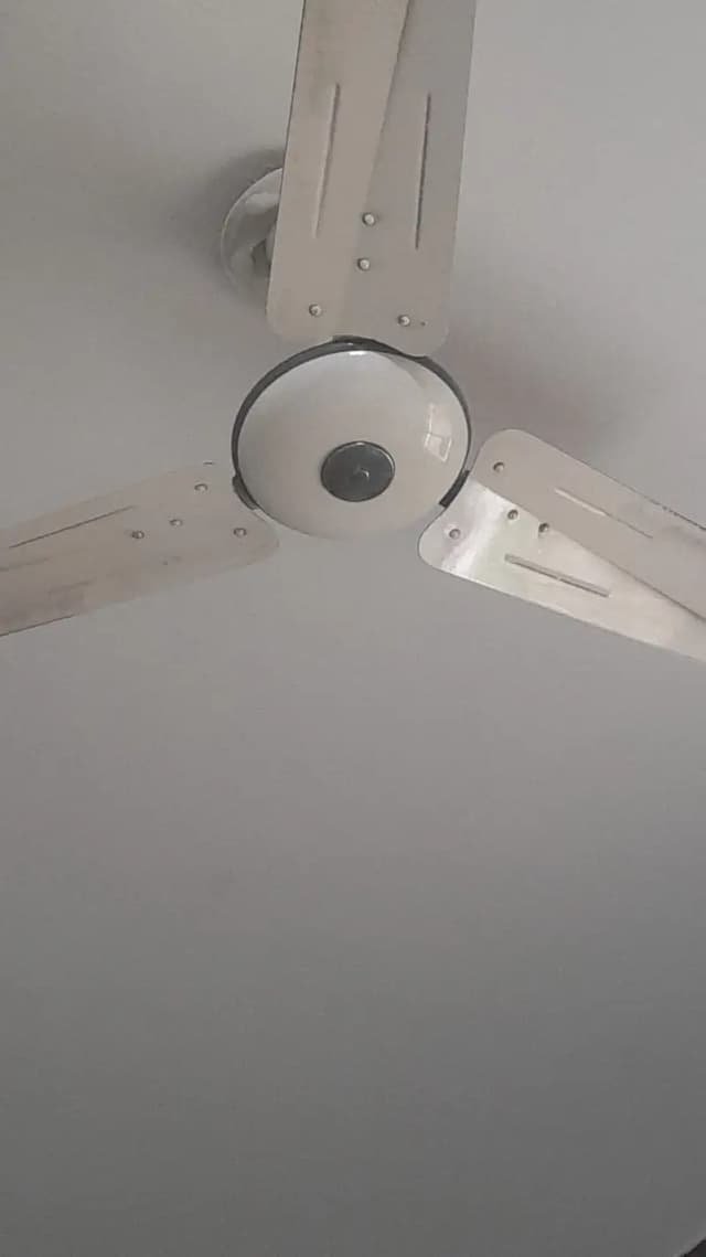 Fan (pak fan)