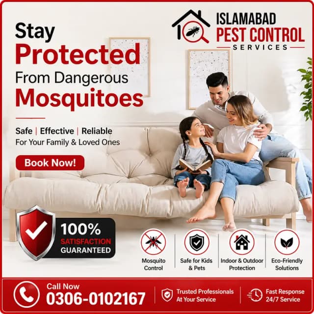 Dengue Spary/Termite Control/Deemak Control/ lizard pest control