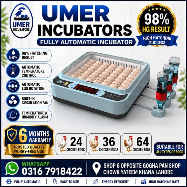 64/36/24/12 Eggs Automatic Incubator Dual Power With 6 Months Warranty