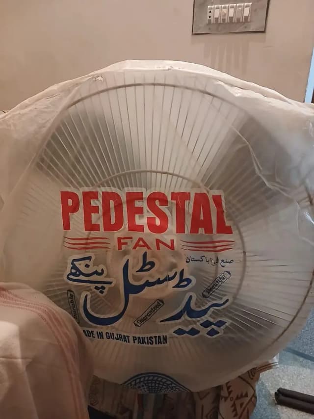 Pedestal Fan