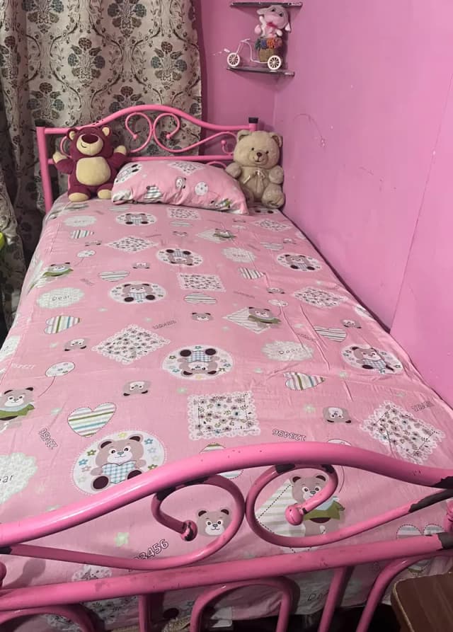 pair of Single iron Beds